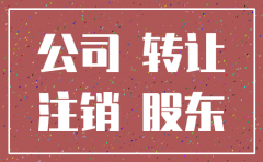 上海投资公司注销