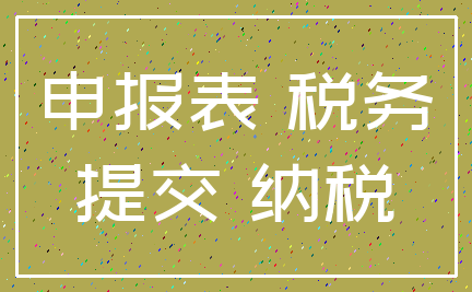 申报表 税务_提交 纳税