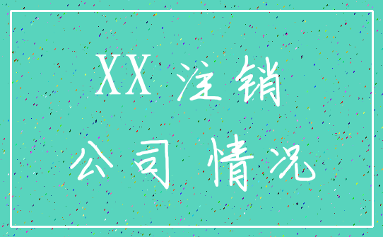 XX 注销_公司 情况