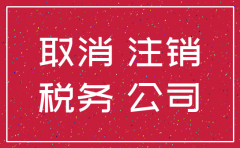 公司注销哪里可以办