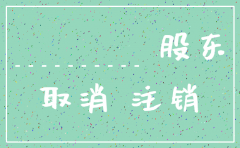 公司注销股东同意书模板
