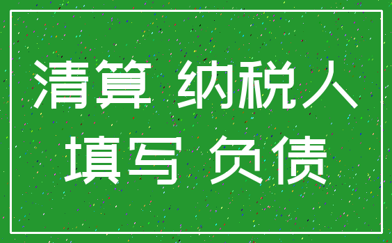 清算 纳税人_填写 负债