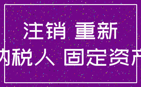 注销 重新_纳税人 固定资产