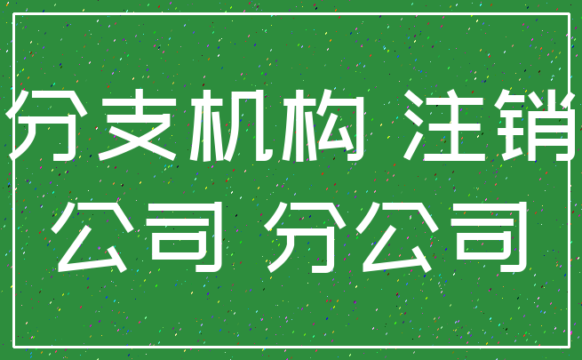 分支机构 注销_公司 分公司