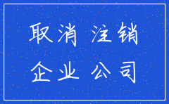 公司简易注销的登录密码
