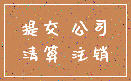 提交 公司_清算 注销