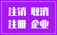 简易注销公司全体投资人承诺书