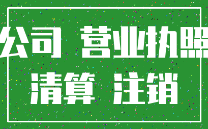 公司 营业执照_清算 注销