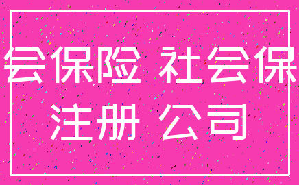 社会保险 社会保障_注册 公司