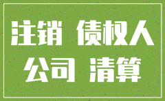 有限公司注销 股东责任