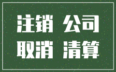 眉山市小规模公司注销流程