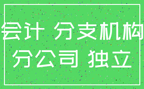 会计 分支机构_分公司 独立