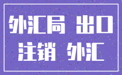 公司外汇注销规定