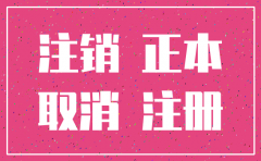 注销公司需要哪些会计材料