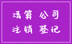 公司注销资产清单模板