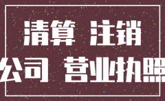 分公司注销登记申请书表格