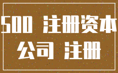 公司注册资金500万