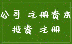 投资管理公司 注册资本