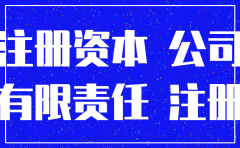 没有注册资金的公司