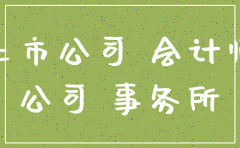 注册会计师 上市公司