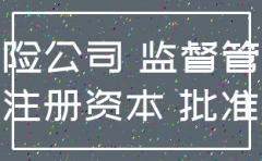 保险公司的注册资本最低限额