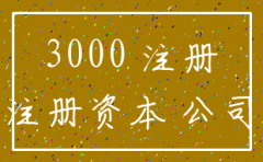 公司注册资金3000万