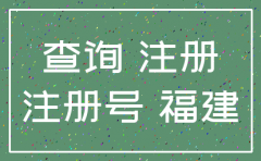 福建公司注册查询