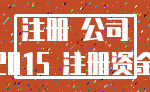 注册 公司_2015 注册资金
