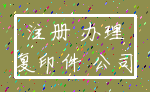 注册 办理_复印件 公司