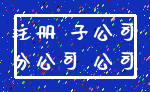 注册 子公司_分公司 公司