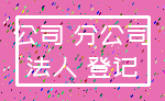 公司 分公司_法人 登记