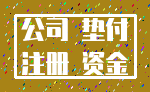 公司 垫付_注册 资金