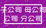 子公司 母公司_公司 分公司