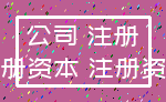 公司 注册_注册资本 注册资金