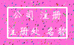 公司 注册_注册处 名称