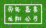 劳务 嘉善_龙翔 公司