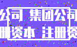 公司 集团公司_注册资本 注册资金