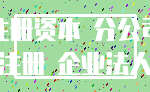 注册资本 分公司_注册 企业法人