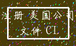 注册 美国公司_文件 CI