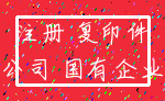 注册 复印件_公司 国有企业