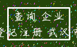 查询 企业_登记注册 武汉市