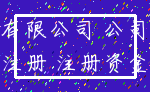有限公司 公司_注册 注册资金