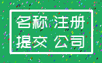 名称 注册_提交 公司