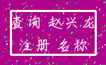 查询 赵兴龙_注册 名称