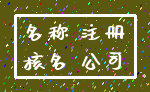 名称 注册_核名 公司