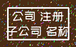 公司 注册_子公司 名称
