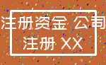 注册资金 公司_注册 XX