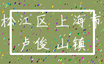 松江区 上海市_卢俊 山镇