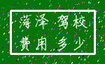 菏泽 驾校_费用 多少