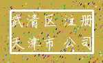 武清区 注册_天津市 公司